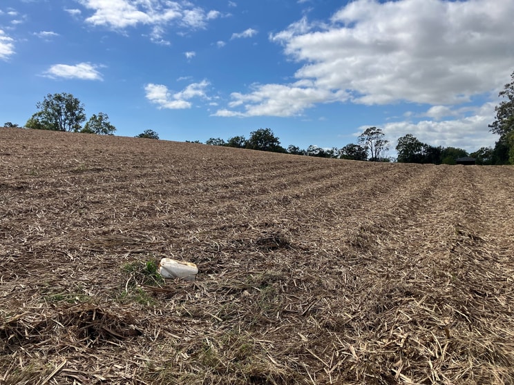 Lot 4 Primroses Road Finch Hatton QLD 4756 - Image 3
