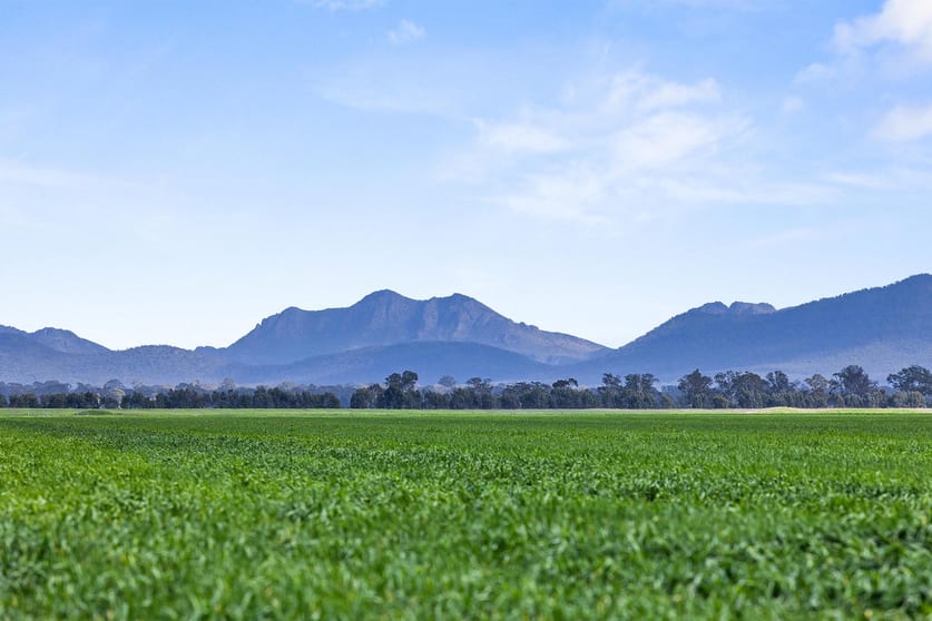 1077 Yarram Gap Road Willaura VIC 3379 - Image 3