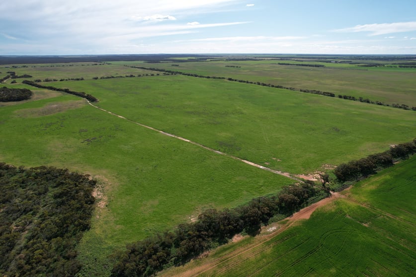 Click to view all images 1305 Charleson Road Sandalwood SA 5309 - Image 2