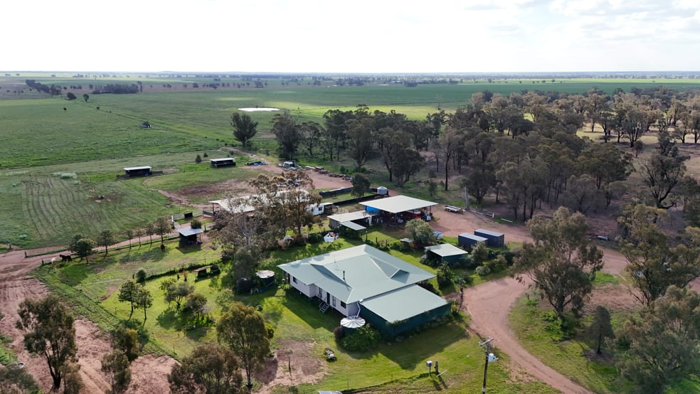 Click to view all images 1238 Tomingley Road Narromine NSW 2821 - Image 3