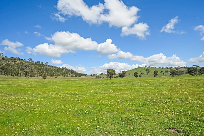 Gulgong NSW 2852 - Image 2