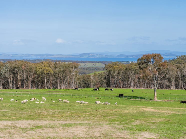 Click to view all images 492 Delmore Road Wattle Hill TAS 7172 - Image 3