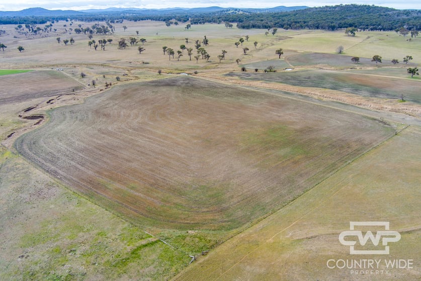 Click to view all images Plain View South, 91 Emmaville Road Glen Innes NSW 2370 - Image 3