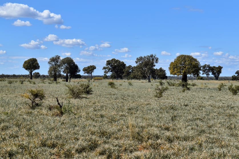 " Prairie" Augathella QLD 4477 - Image 2