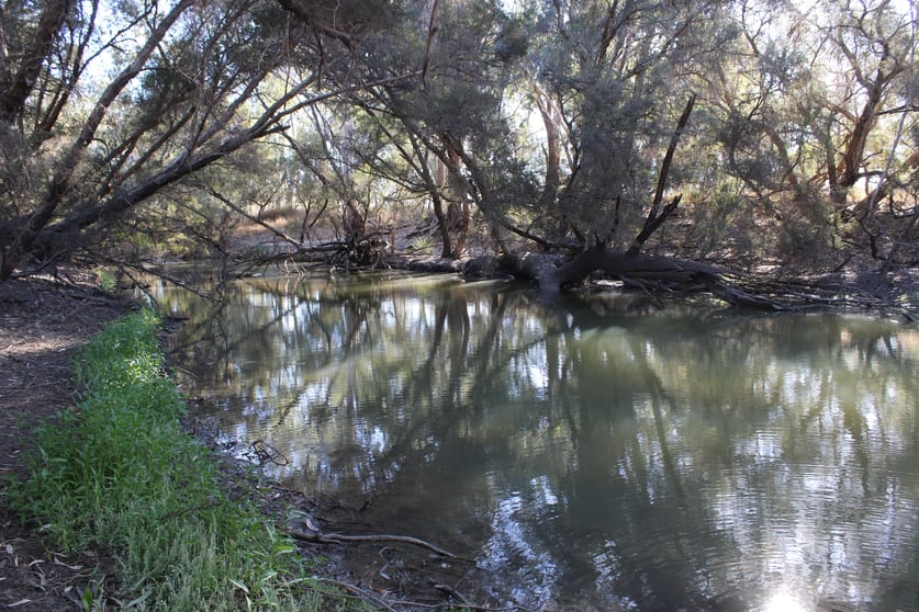 9 ,10, 11 & 217 ROMA TAROOM ROAD Taroom QLD 4420 - Image 2