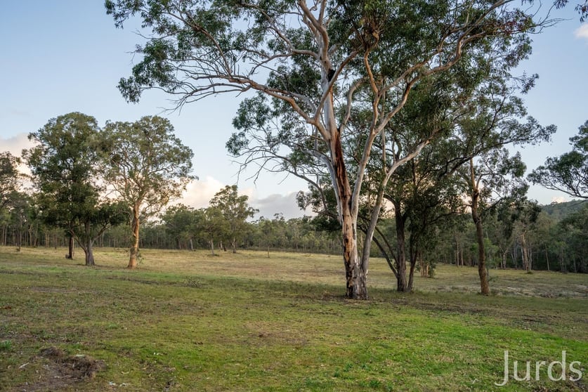 Click to view all images 83 Ferguson Street Abernethy NSW 2325 - Image 3