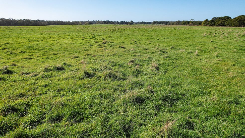 Click to view all images Lovetts Lane Heywood VIC 3304 - Image 2