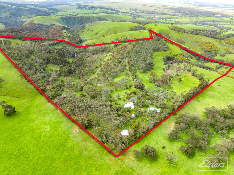 295C Braeside Road Mount Observation SA 5255 - Image 2