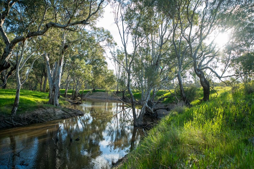 Click to view all images 350 Mitchell Road Kialla VIC 3631 - Image 3