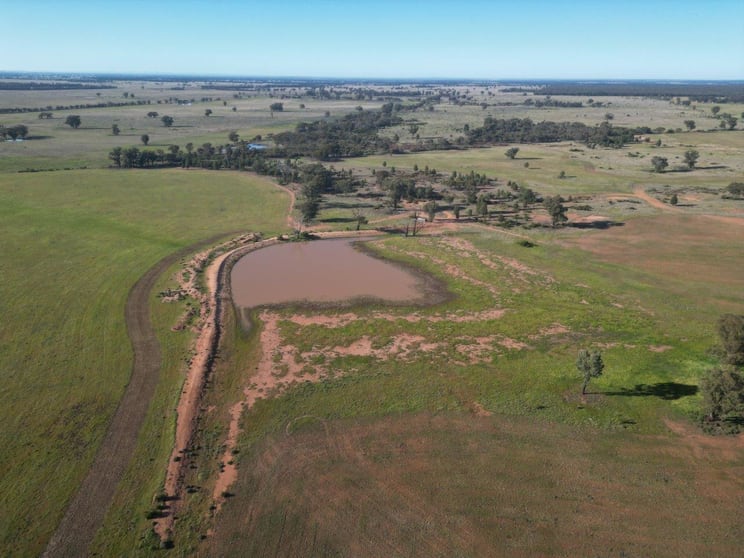 Click to view all images 'Fernleigh' 882 Womboyne Rd West Wyalong NSW 2671 - Image 1