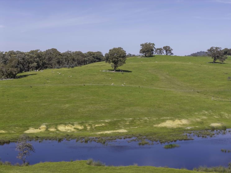 Click to view all images 151 School Road Barfold VIC 3444 - Image 3