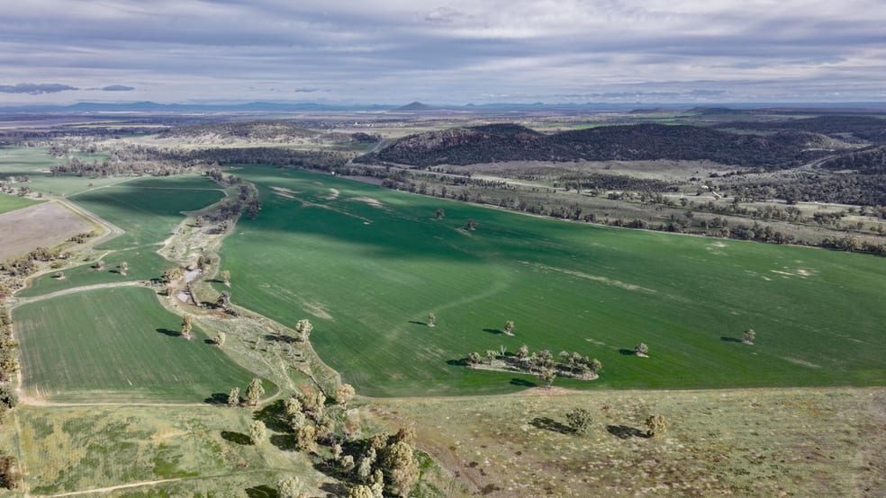 177 Therribri Road Boggabri NSW 2382 - Image 3