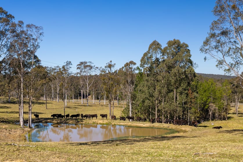 165 Myall Way Tea Gardens NSW 2324 - Image 3