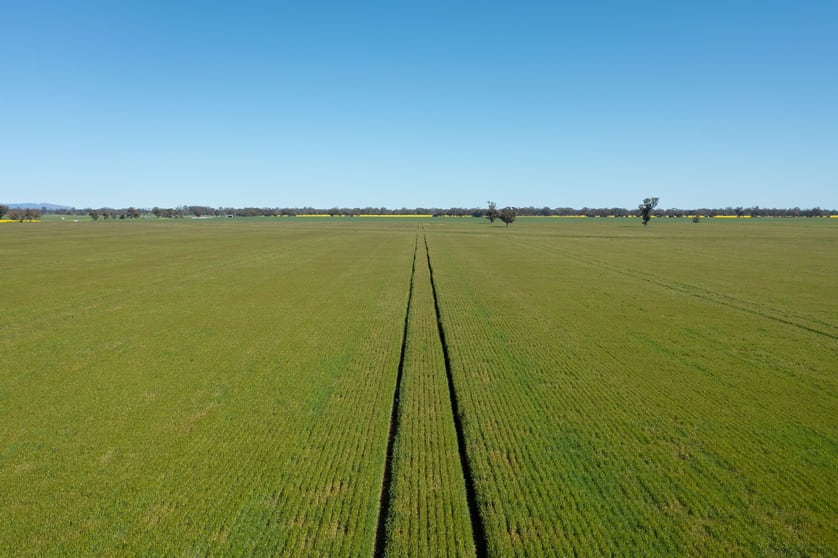 Click to view all images LOT 220A & 220B Tinsley Road Wal Wal VIC 3385 - Image 3