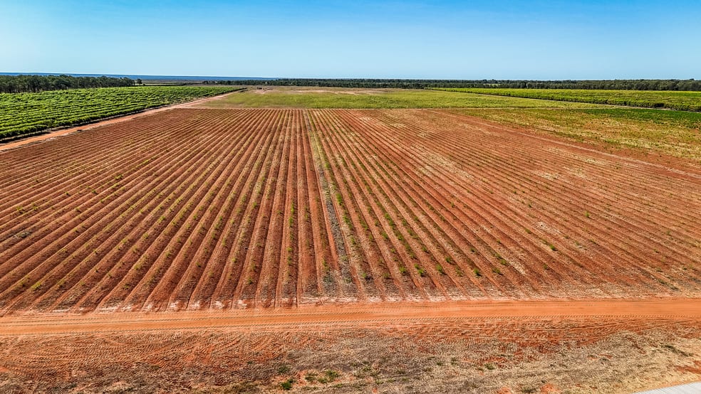 0 Foxalicious Farm Katherine NT 0850 - Image 2