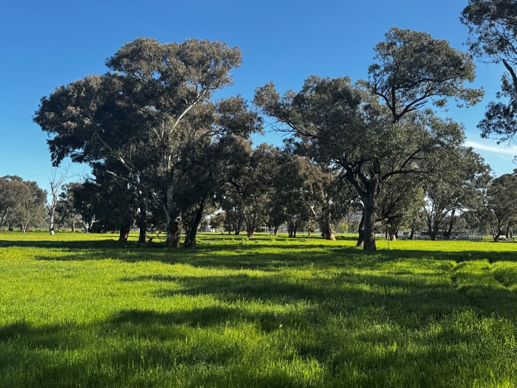 Click to view all images 84 West Jindalee Road Cootamundra NSW 2590 - Image 2