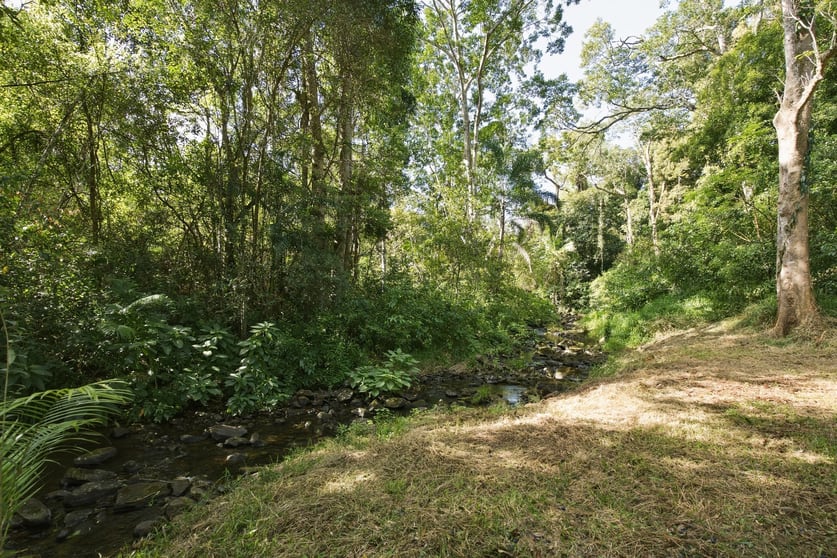 Click to view all images 716 Binna Burra Road Federal NSW 2480 - Image 2