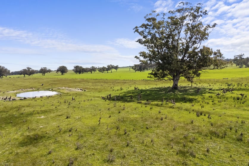 Click to view all images 125 Fairview Drive Clunes VIC 3370 - Image 3
