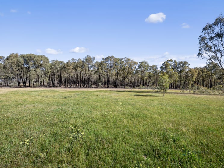 LOT 4 Dookie-Violet Town Road Earlston VIC 3669 - Image 2