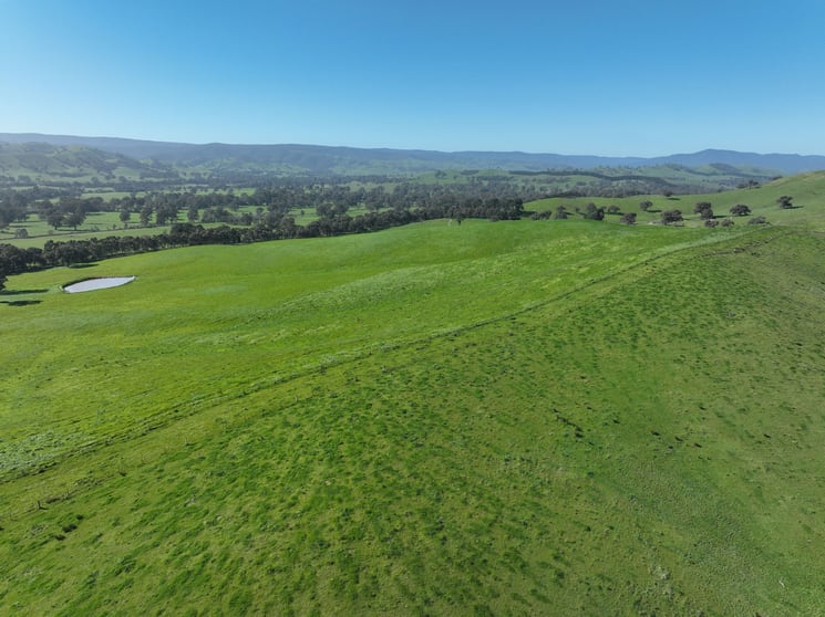 Click to view all images 5695 Melba Highway Yea VIC 3717 - Image 3