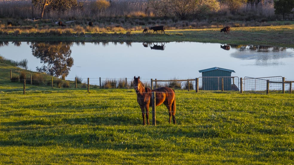 130 Wimpole Road Bunyip North VIC 3815 - Image 3