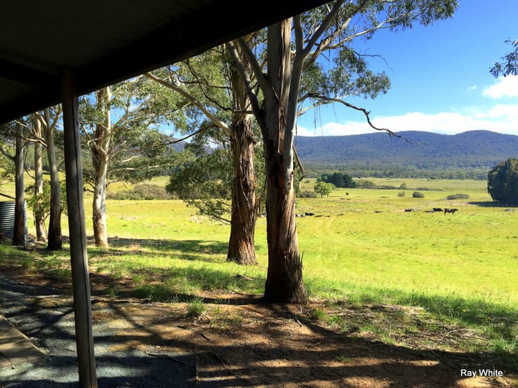 Click to view all images 464 Wyanbene Rd Wyanbene NSW 2622 - Image 2