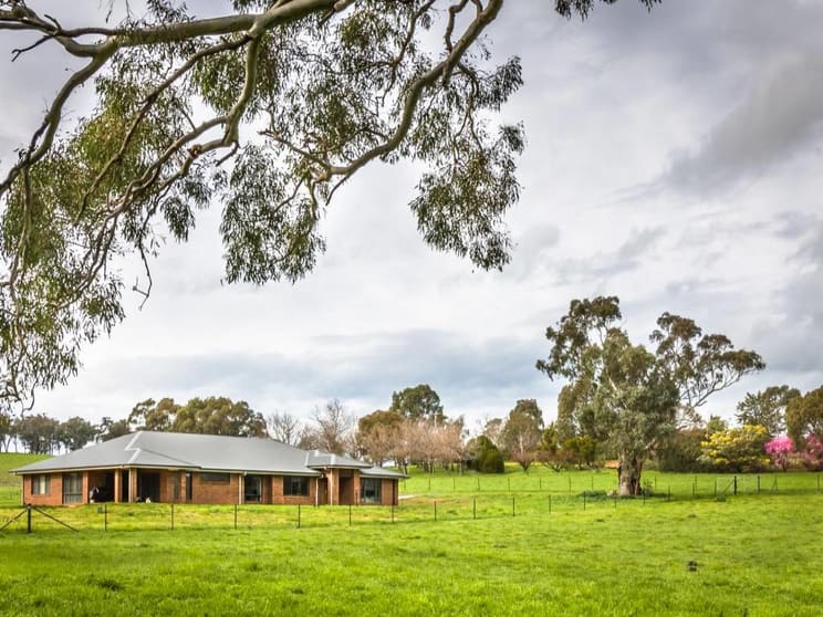 5172 Muttama Road Cootamundra NSW 2590 - Image 1