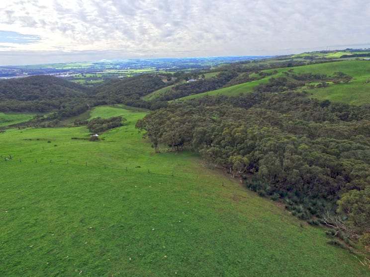 1195 James Track Myponga SA 5202 - Image 2