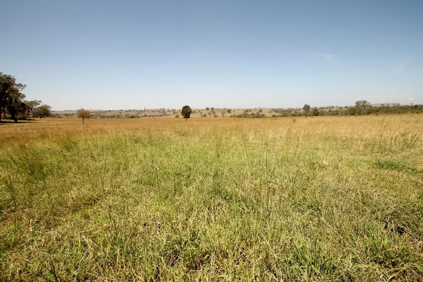 273 Rosebud Road Mudgee NSW 2850 - Image 1