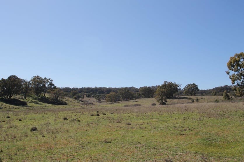 7, 55, 56,/874 Bara Road Mudgee NSW 2850 - Image 3