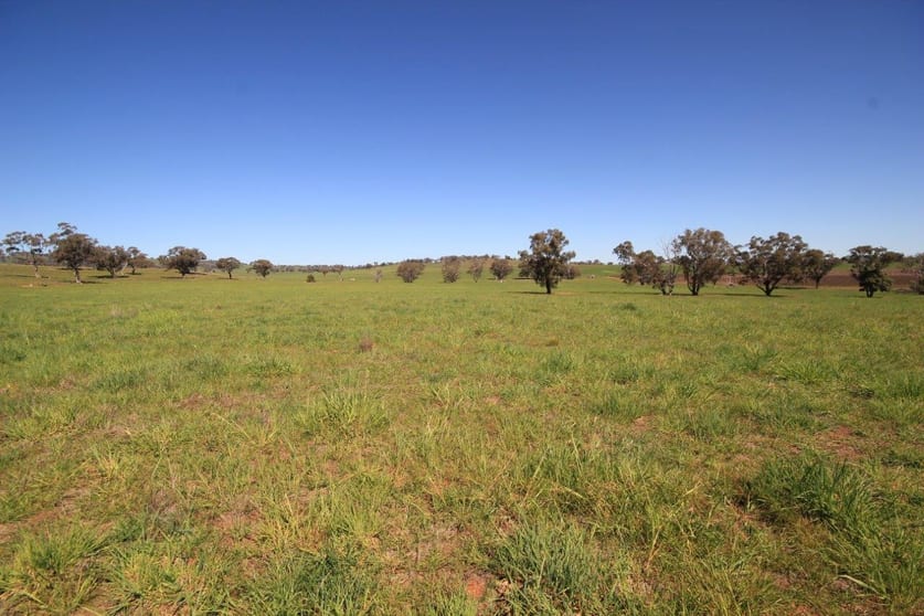 Click to view all images Mudgee NSW 2850 - Image 3