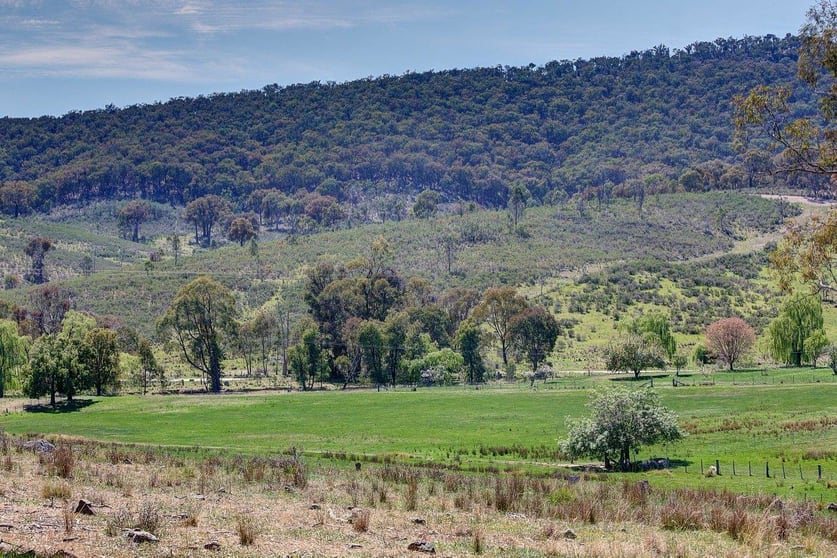 Click to view all images 954 Pyramul Road Mudgee NSW 2850 - Image 3