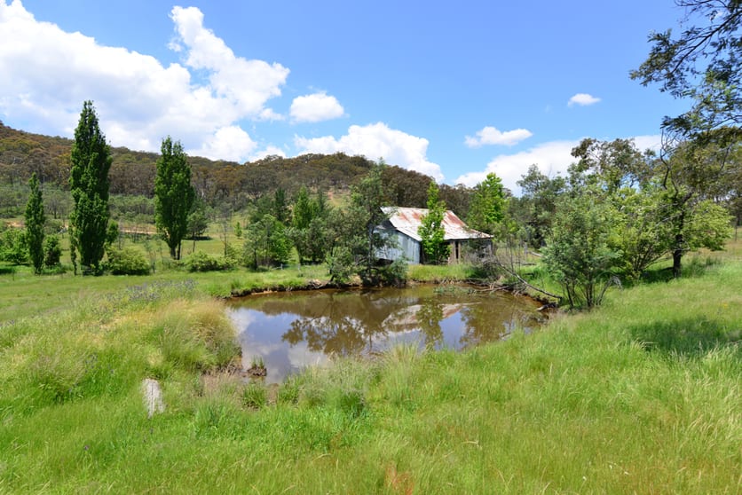 772 Green Gully Road Mudgee NSW 2850 - Image 1