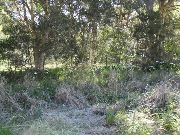 Bulahdelah NSW 2423 - Image 3