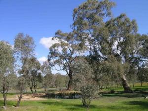 Click to view all images Lot 3 Briggs Road Strathfieldsaye VIC 3551 - Image 2