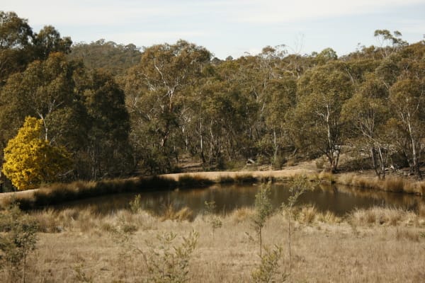 Bombala NSW 2632 - Image 1