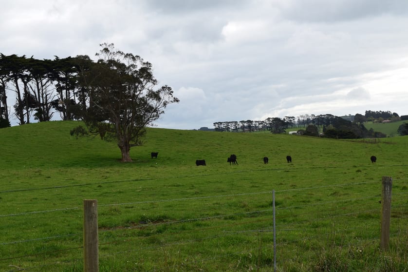 117 Narracan Connection Road Narracan VIC 3824 - Image 3