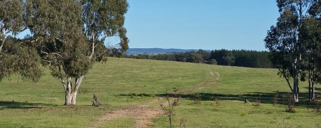 Red Hills Road Marulan NSW 2579 - Image 3