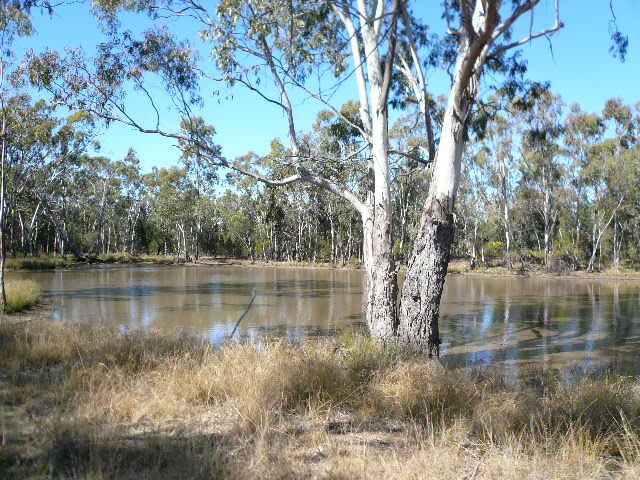 Click to view all images 155 ROCKY CRESCENT Tara QLD 4421 - Image 1