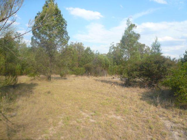 Click to view all images 16 CARTENS LANE Tara QLD 4421 - Image 2