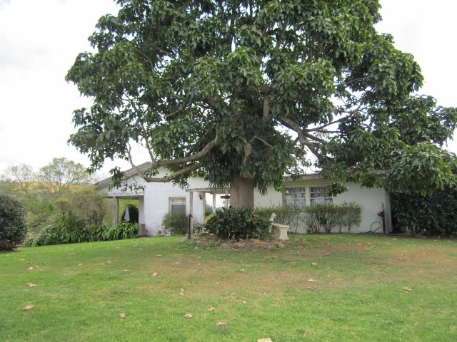 Click to view all images Lot 1 1397 Dungog Rd Dungog NSW 2420 - Image 3