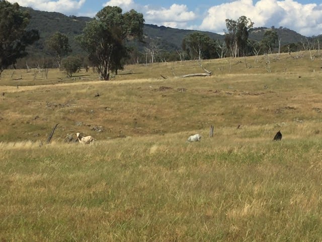 Click to view all images 36/ Ullamalla Road Mudgee NSW 2850 - Image 2