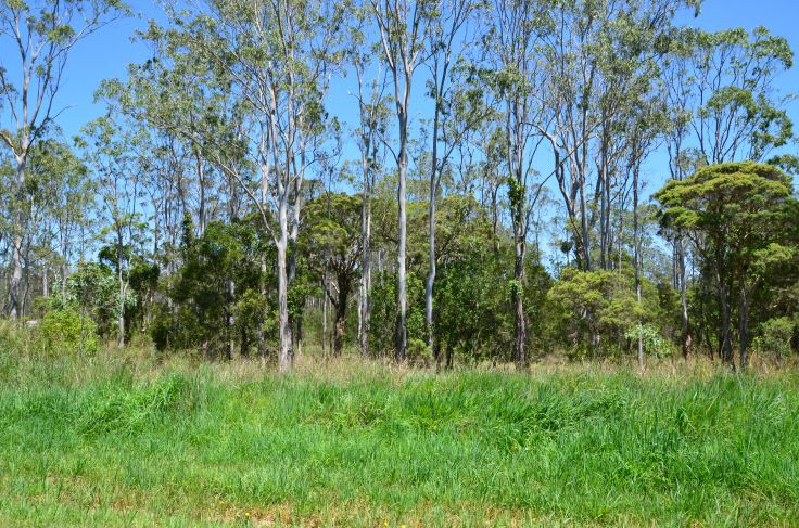 Upper Lansdowne NSW 2430 - Image 1