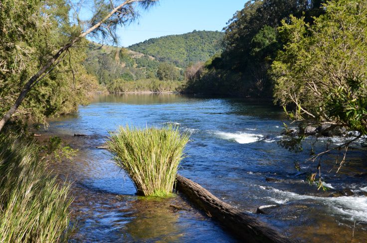 Caffreys Flat NSW 2424 - Image 2