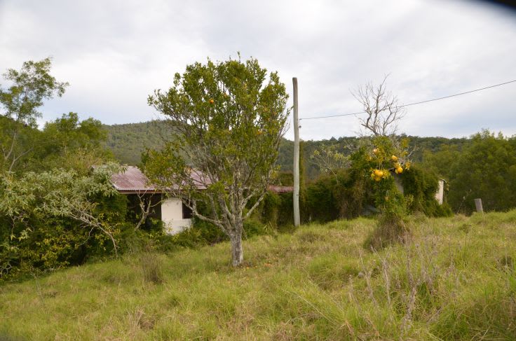 Caparra NSW 2429 - Image 2