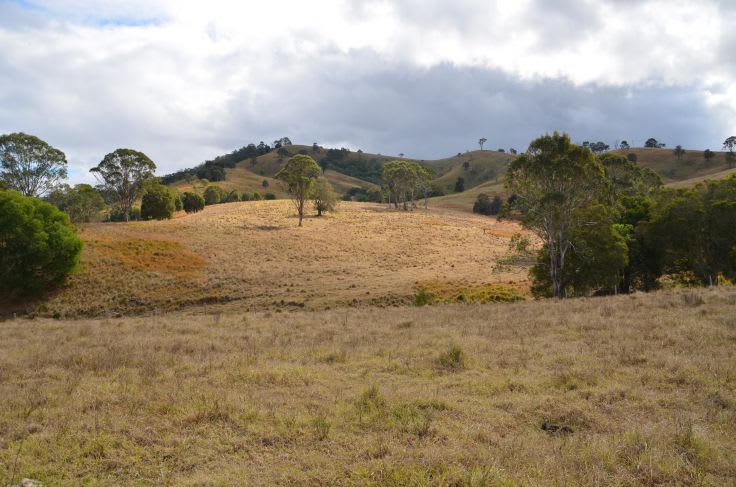 Bunyah NSW 2429 - Image 2