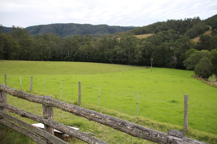 Caparra NSW 2429 - Image 1