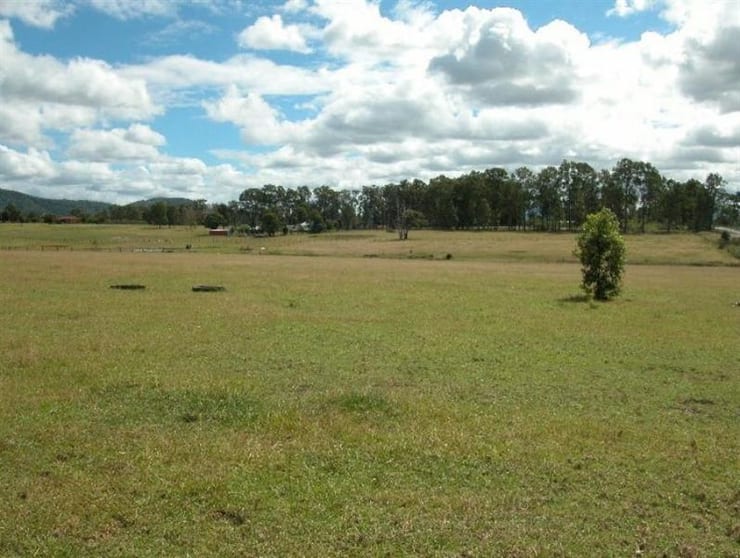 Cedar Party NSW 2429 - Image 2