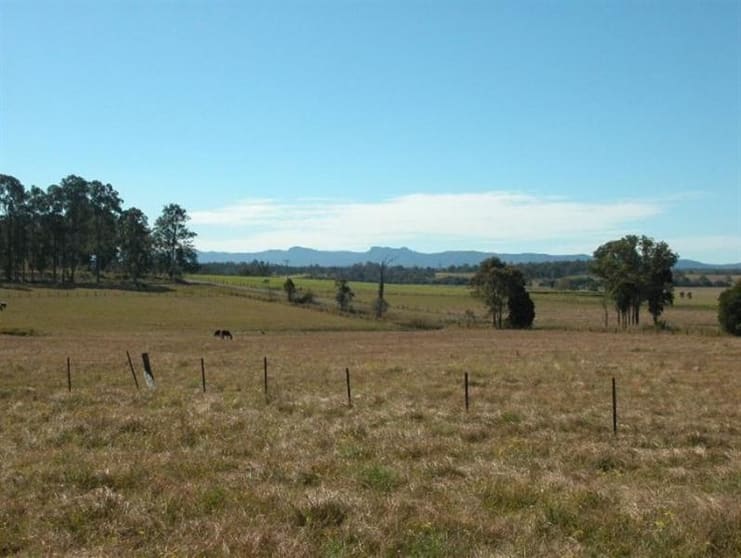 Cedar Party NSW 2429 - Image 1