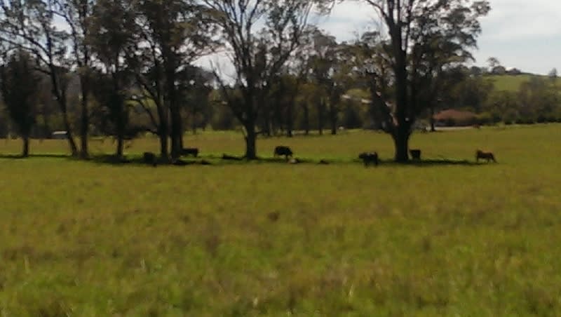 Click to view all images Lot 21, 1397 Dungog Road Dungog NSW 2420 - Image 3